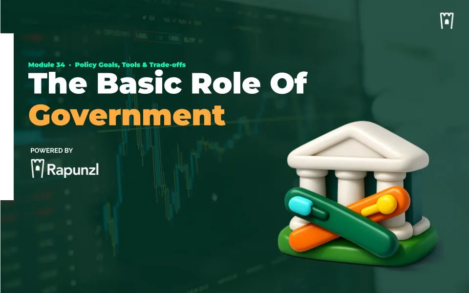 The Role of Government module cover